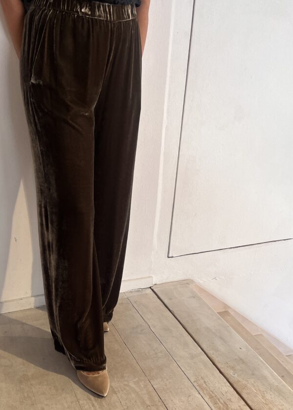 Diega Portorico Velvet Trousers - Image 2