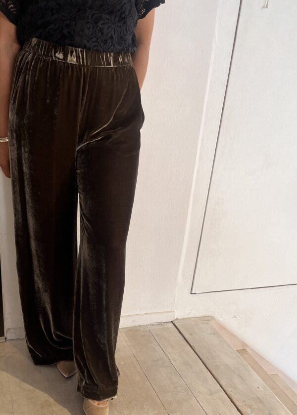 Diega Portorico Velvet Trousers